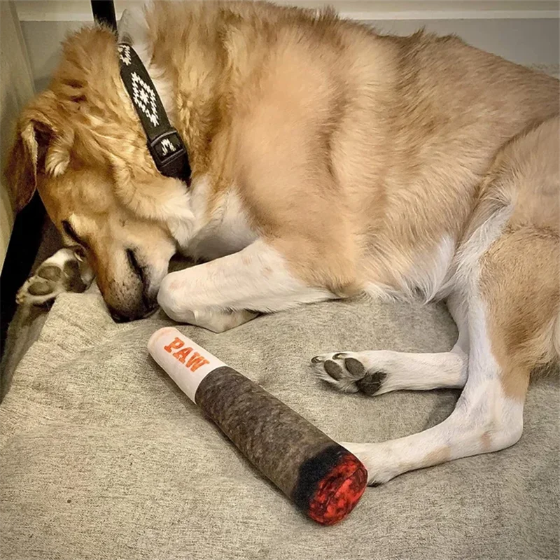 Plush Squeaky Toys for Medium, Small and Large - Cool Stuffed Cute Gifts for Dog Birthday Dog Joint Toys Funny Interactive