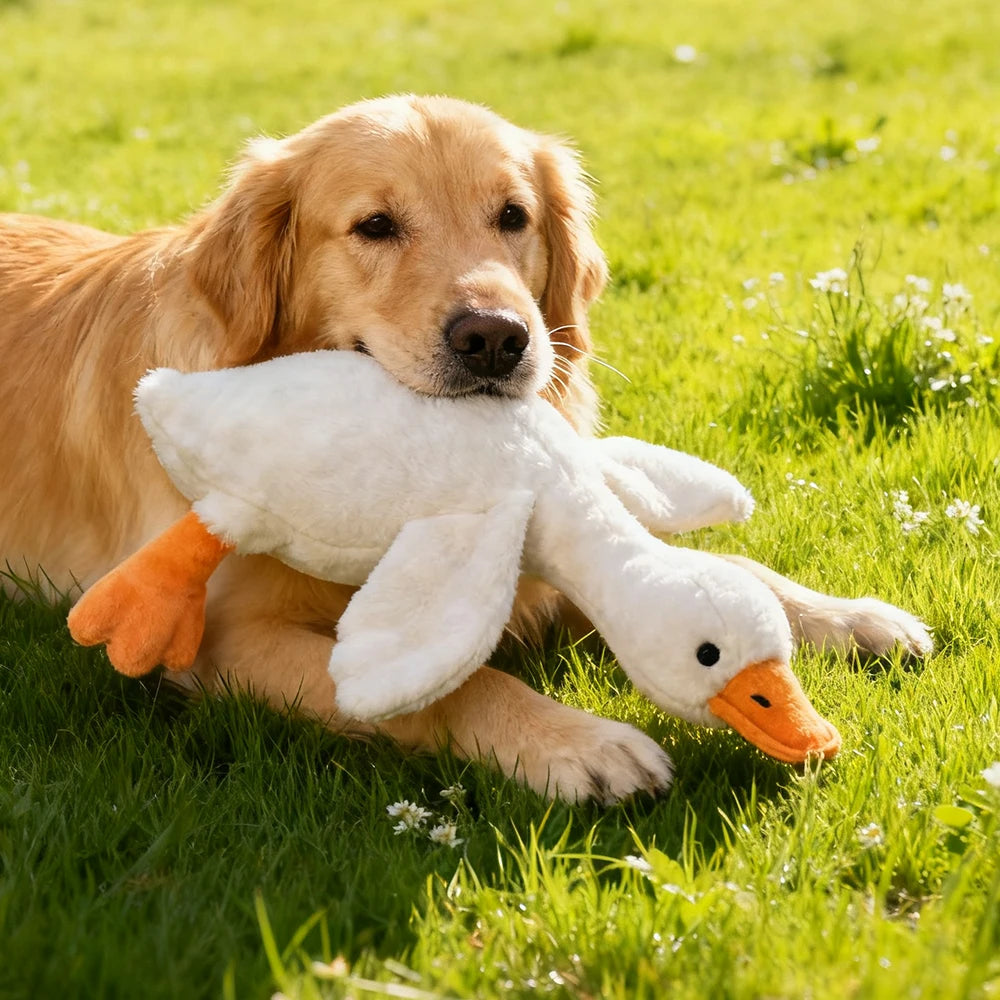 Plush, vocal, companion dog toys suitable for all breeds of cats and dogs, with double-layer fabric for tear resistance