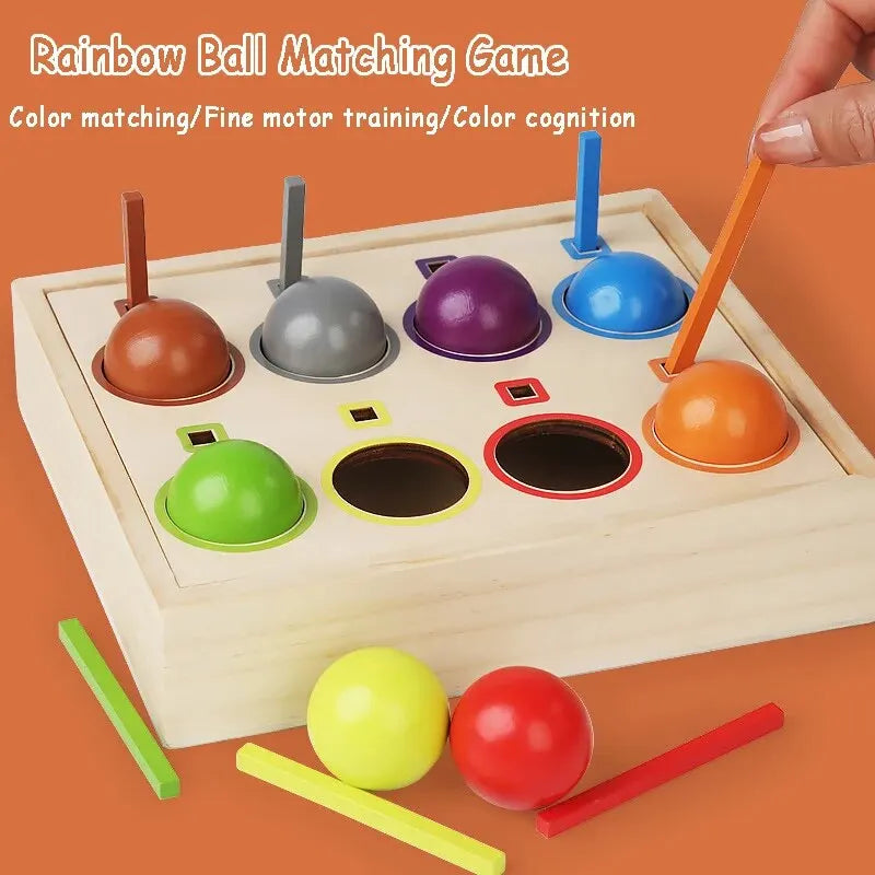 Baby Rainbow Ball Matching Montessori Wooden Toy Color Sorting Cognitive Sensory Game Fine Motor Training Early Educational Toys