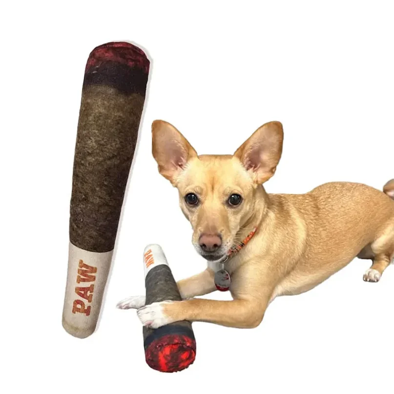 Plush Squeaky Toys for Medium Small and Large - Cool Stuffed Cute Gifts for Dog Birthday Dog Joint Toys Funny Interactive