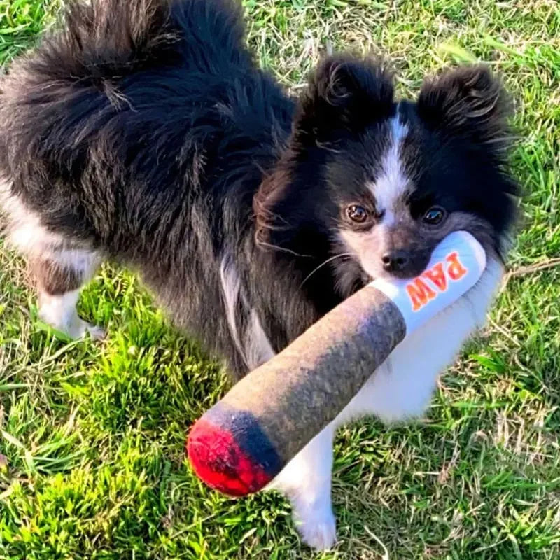 Plush Squeaky Toys for Medium Small and Large - Cool Stuffed Cute Gifts for Dog Birthday Dog Joint Toys Funny Interactive